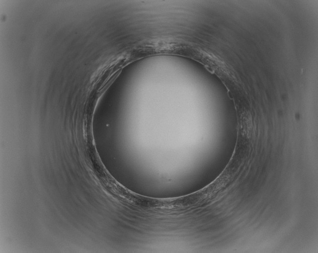 X0000068850740200605081214