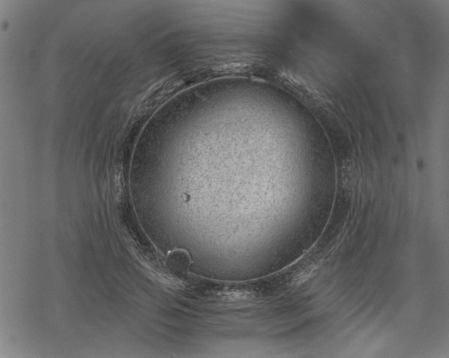 X0000068850741200605081214