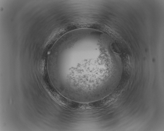 X0000068850742200605081214