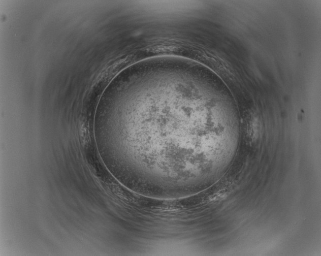 X0000068850743200605081214