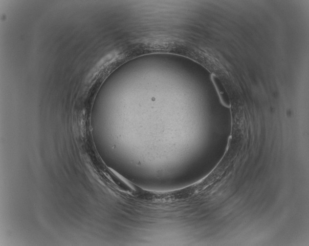 X0000068850744200605081214