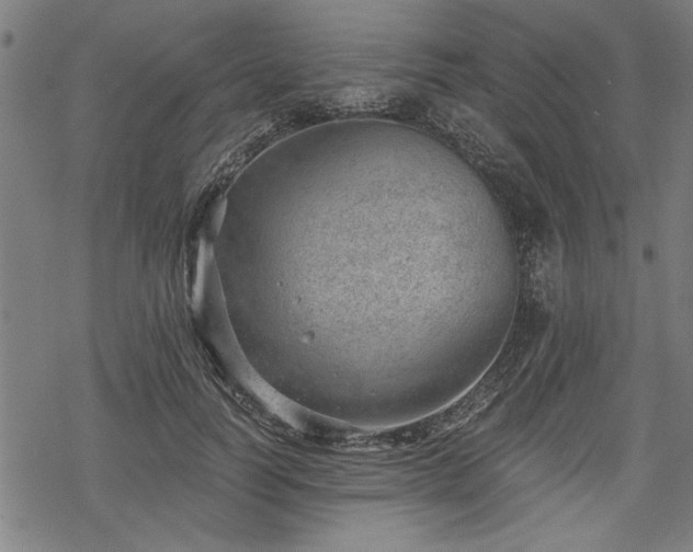 X0000068850746200605081214