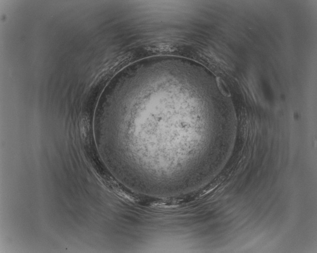 X0000068850747200605081214