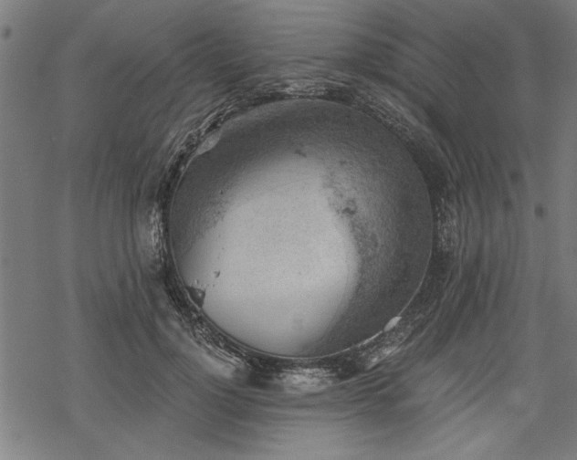 X0000068850748200605081214