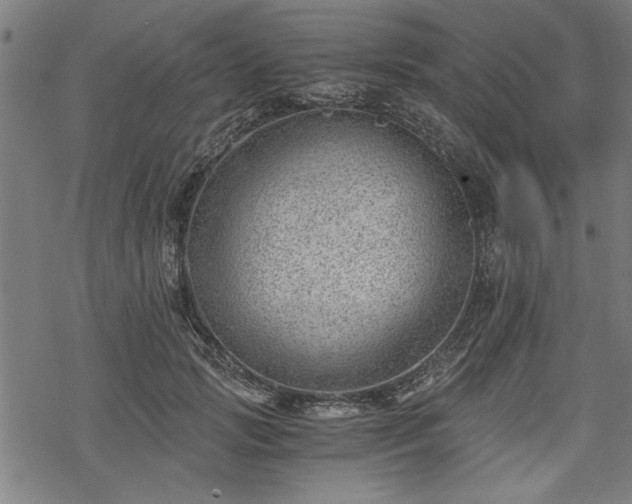 X0000068850749200605081214