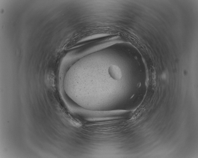 X0000068850750200605081214