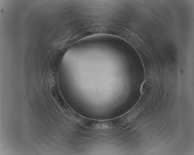 X0000068850751200605081214