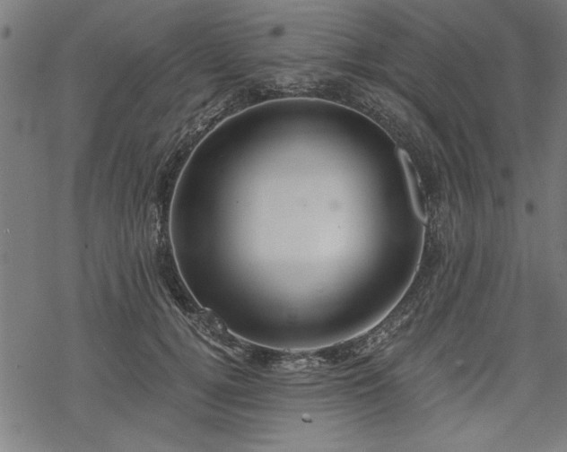 X0000068850752200605081214