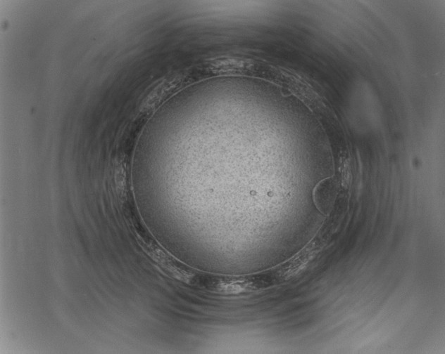 X0000068850753200605081214