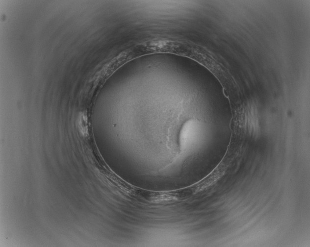 X0000068850754200605081214