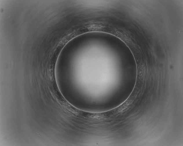 X0000068850755200605081214