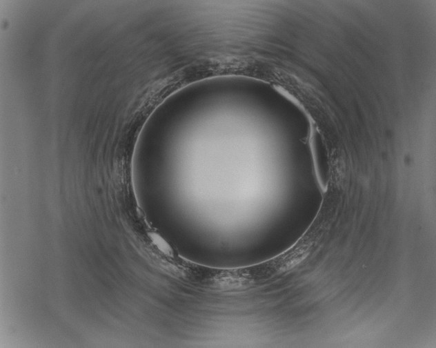 X0000068850756200605081214