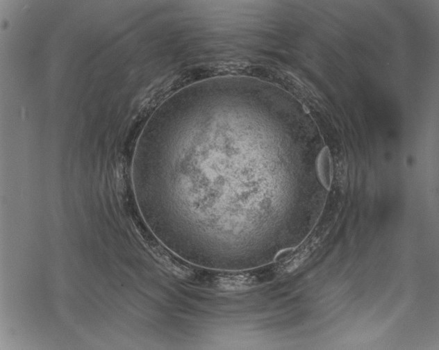 X0000068850757200605081214