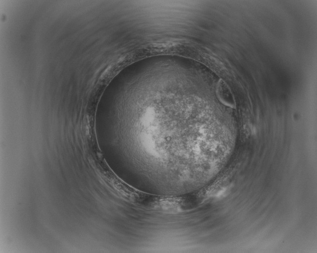 X0000068850758200605081214