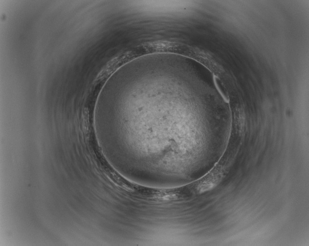 X0000068850760200605081214