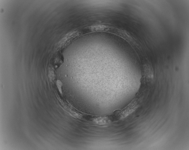 X0000068850761200605081214