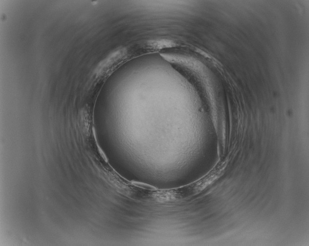 X0000068850762200605081215