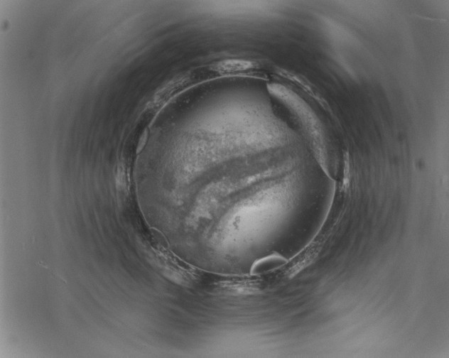 X0000068850763200605081215