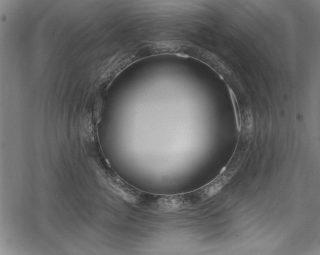 X0000068850764200605081215