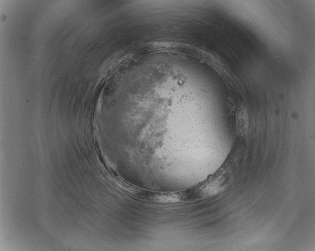 X0000068850765200605081215