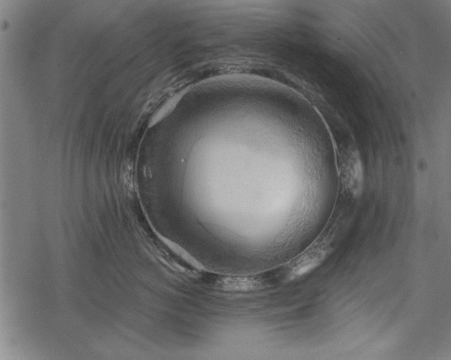 X0000068850766200605081215