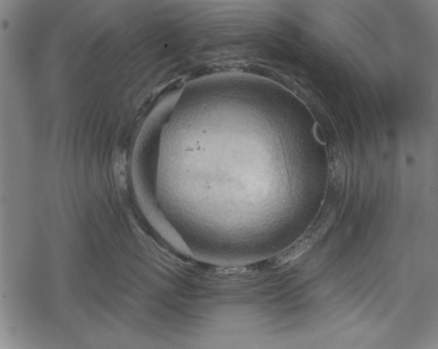 X0000068850767200605081215