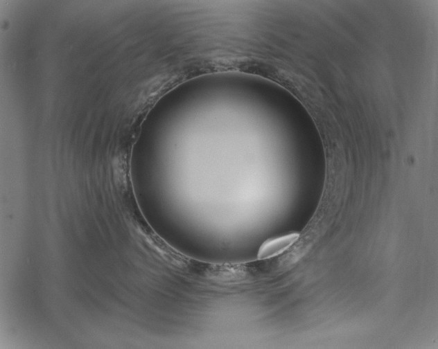 X0000068850768200605081215