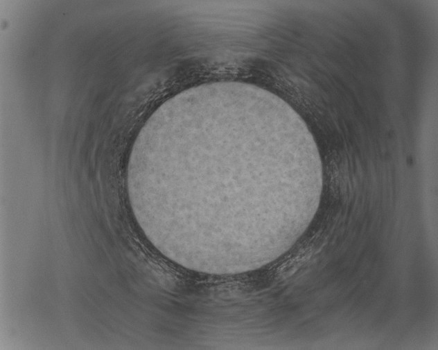 X0000068850769200605081214