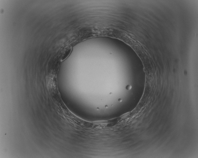 X0000068850770200605081214