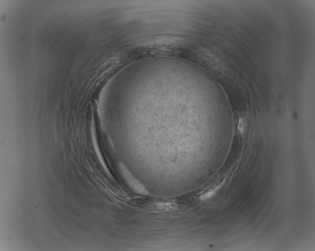 X0000068850771200605081214