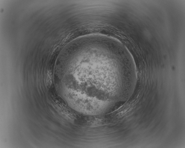 X0000068850772200605081214