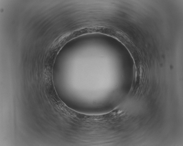 X0000068850773200605081214