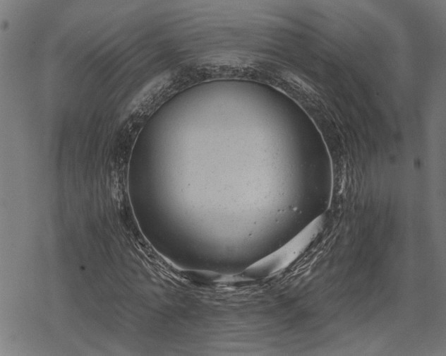 X0000068850774200605081214