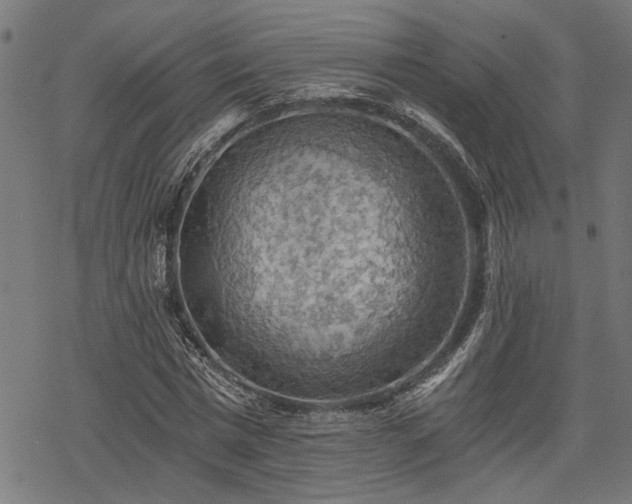 X0000068850777200605081214