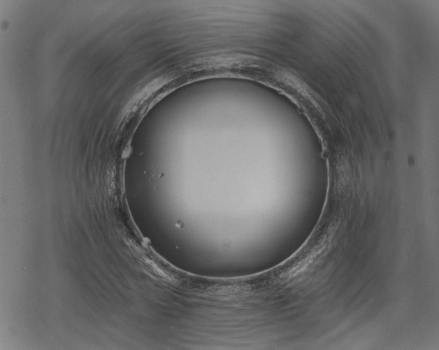 X0000068850778200605081214