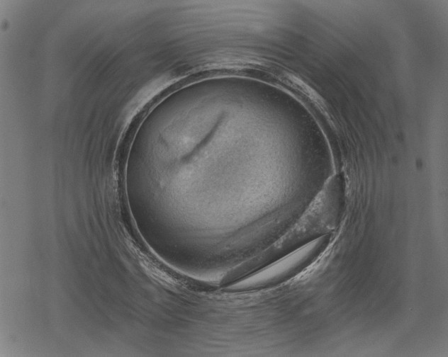 X0000068850779200605081214