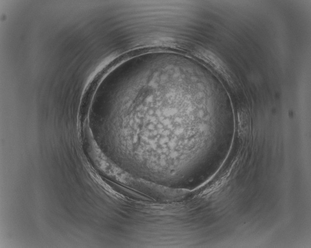 X0000068850780200605081214