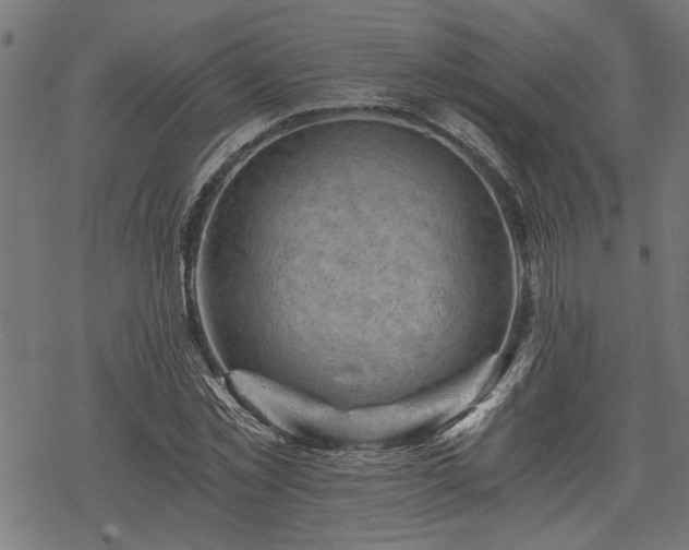 X0000068850781200605081214