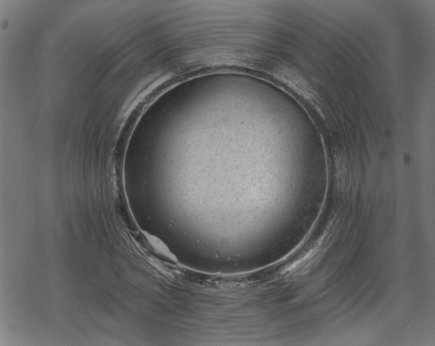 X0000068850782200605081214