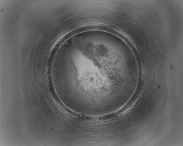 X0000068850783200605081214