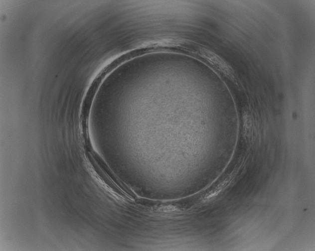 X0000068850784200605081214