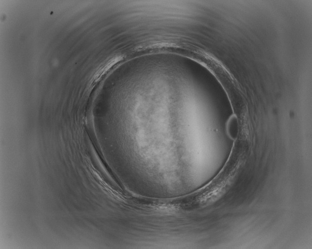 X0000068850785200605081214