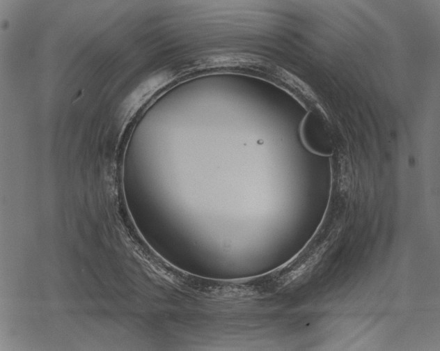 X0000068850786200605081214