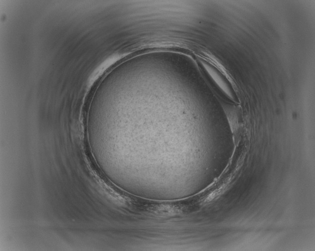 X0000068850787200605081214