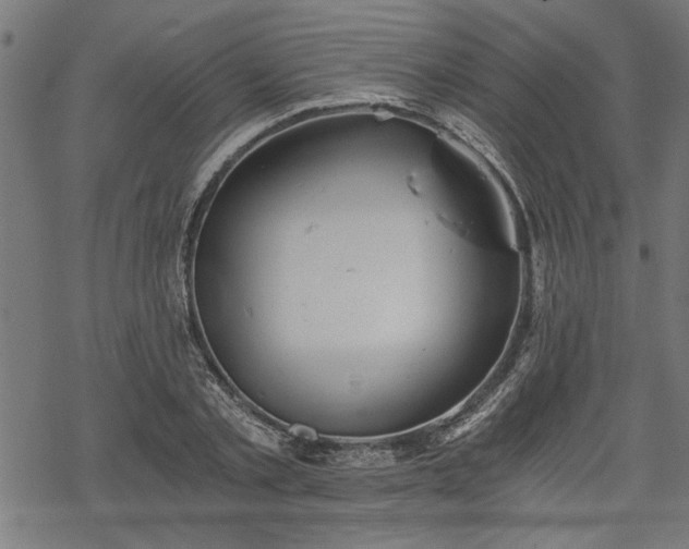 X0000068850789200605081214