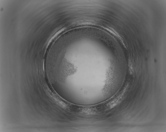 X0000068850790200605081213