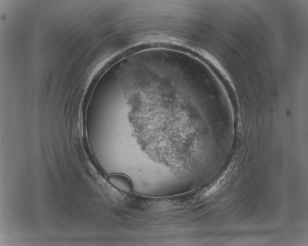 X0000068850791200605081213