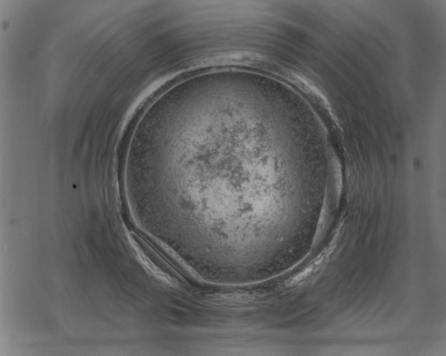 X0000068850792200605081213