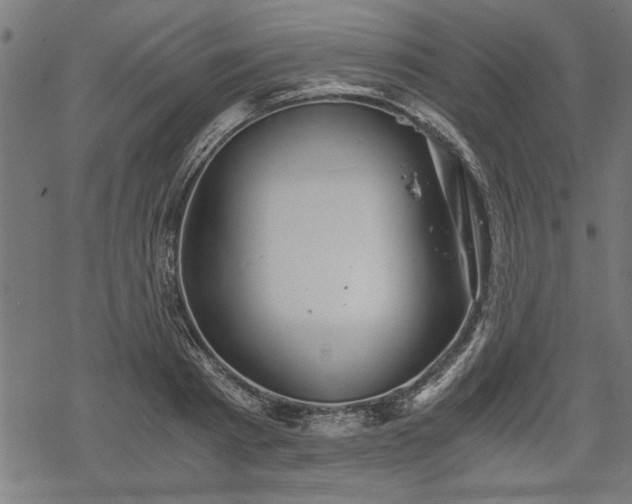 X0000068850793200605081213