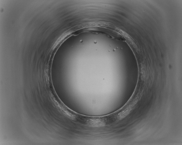 X0000068850794200605081213